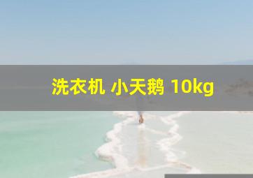 洗衣机 小天鹅 10kg